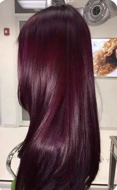 Purple Hair Red Dress, Red Hair With Pink Undertones, Boysenberry Hair Color, Curly Mahogany Hair, Colorblock Hair Curly, Burgundy Hair With Black Roots, Reddish Purple Hair Color, Purple Reddish Hair, Wine Hair Color Black Women