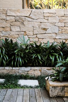 some plants are growing on the side of a stone wall in front of a wooden deck