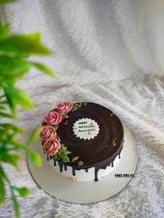 a chocolate cake with pink roses on top sitting on a white blanket next to a potted plant