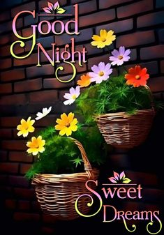 two baskets filled with flowers sitting on top of a brick wall next to the words good night