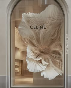 a display window with white flowers in the front and behind it is an arched glass door