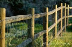 a wooden fence is shown in the grass