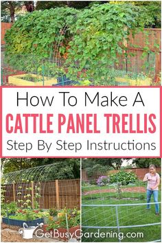 how to make a cattle panel trellis step by step instructions for garden gardening