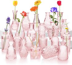 there are many vases with flowers in them