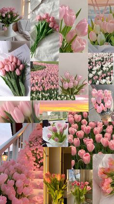 pink tulips and other flowers are shown in this collage