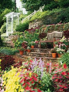 a garden filled with lots of flowers next to a lush green hillside covered in trees