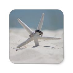 a white starfish on the beach with its head in the sand and it's tail sticking out