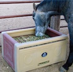 a horse is eating hay out of a box