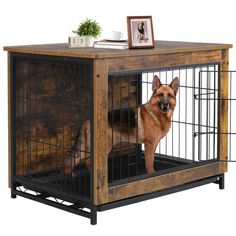 a dog is standing in the crate that has its front door open and it's looking at the camera