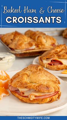 baked ham and cheese croissants on a white plate with orange slices in the background