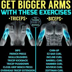 an image of the back and shoulder muscles with text that reads get bigger arms with these exercises