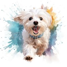 a small white dog with its mouth open running through the watercolor paint splattered background