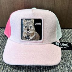 Brand New Ships The Same Day Cute Baseball Cap For Outdoor, Cute Outdoor Baseball Cap, Cute Hats With Curved Brim For Outdoor, Cute Outdoor Hat With Curved Brim, Cute Curved Brim Hat For Outdoor, Walrus Tusks, Dry Rub For Chicken, Giant Panda Bear, Puffins Bird