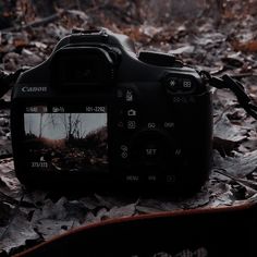 a camera sitting on the ground with leaves around it's body and its lens pointed up