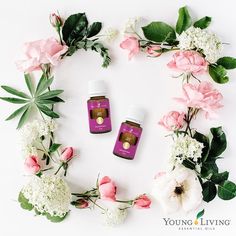 Oil Blends, Young Living, Essential Oil Blends, Oil Blend, Essential Oil, Floral Wreath, Essential Oils