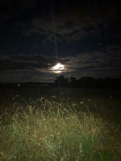 the full moon shines brightly in the night sky over a grassy field with tall grass