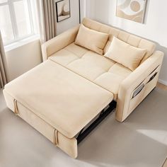 a living room with a couch and pull out bed