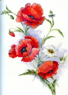 watercolor painting of red poppies and daisies on white paper with green stems