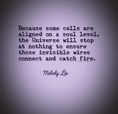 a quote that reads, because some cells are aligned on a soul level, the universe will stop at nothing to ensure those invisible wires connect and catch fire