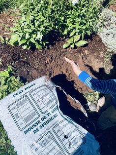 a person pointing at some plants in the ground