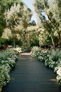 the walkway is lined with white flowers and greenery in front of an open area