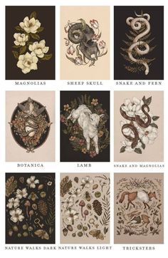 the different types of flowers and snakes are depicted in this poster, which is also available for