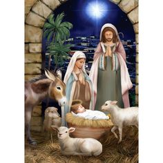 a nativity scene with baby jesus in the manger, surrounded by sheep and donkeys