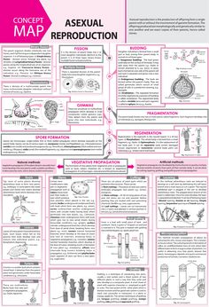 a poster with instructions on how to use asexual reproductions in the classroom