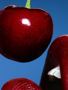 two red apples hanging from the top of each other with blue sky in the background