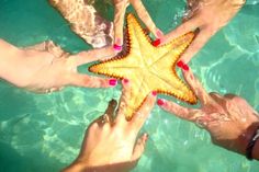 four people reaching for a starfish in the water with their hands on each other