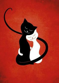 a black and white cat sitting on top of a red background