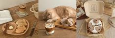 there is a cat that is laying down on the table with food and drinks in it