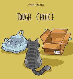 there is a cat that is looking at a box and the words tough choice are in front of it