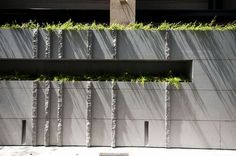 a concrete wall with plants growing on it