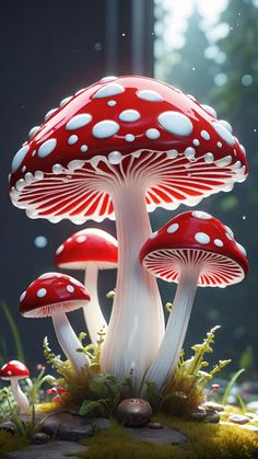 a group of mushrooms sitting on top of a lush green field