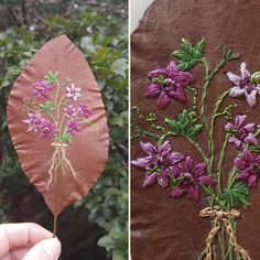 two pictures one with purple flowers and the other with green leaves