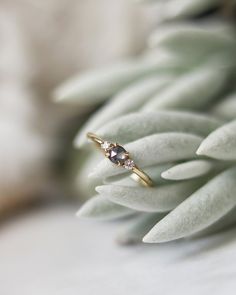 a close up view of a ring on top of a plant