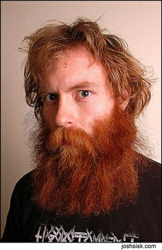 red beards - Google Search Ginger Meme, Redhead Facts, Hair Jokes, People With Red Hair, Ginger Hair Men, Red Hair Men, Beard Haircut