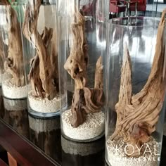 three glass vases filled with different types of driftwood in sand and gravel on top of a wooden table