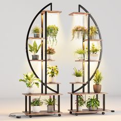 a circular display case with plants in it