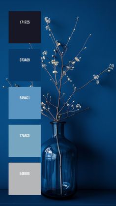 a blue vase with white flowers in it on a table next to a blue wall