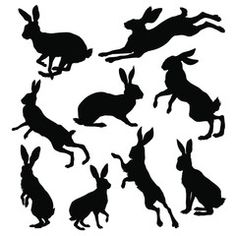 rabbit silhouettes on white background