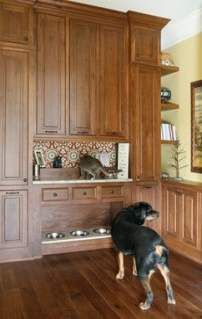 a dog standing in the middle of a kitchen