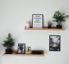 two wooden shelves with plants and pictures on them