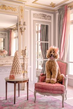 This chic poodle knows how to accessorize with a pink bow to a mini JACQUEMUS Le Chiquito satchel bag. Indulge in a glamorous five-star stay with PRESTIGE SUITE POODLE, HOTEL PLAZA ATHÉNÉE from Gray’s joyful Dogs of Paris series. Mini Jacquemus, French Riviera Style, Jacquemus Le Chiquito, Moet Chandon Champagne, Plaza Athenee, Gray Malin, French Poodles, Glam Room, Princess Outfits