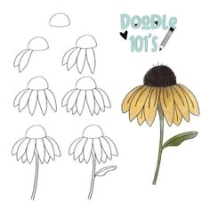 a drawing of a flower with the words doodle 101's written on it