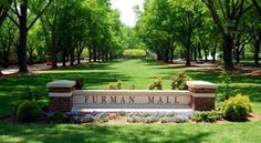 the sign for furman mall is in front of some trees and bushes with purple flowers