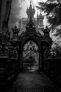 an old gate in the middle of a dark forest with trees and bushes on either side