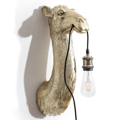 Camel Head Wall Lamp Unique Wall Lights, Chest Coffee Table, Shopify Design, Statement Wall, Filament Bulb, Wall Plug, Plug Socket, Lantern Candle Holders, Quirky Gifts