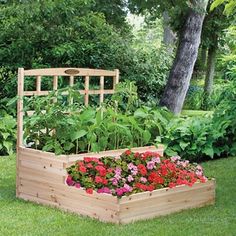 a garden bed with flowers and plants in it